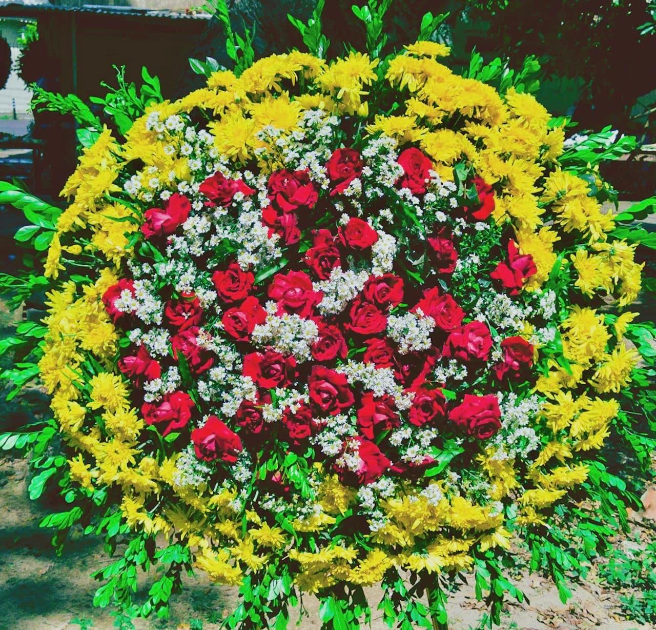 Monsenhor amarelo, com rosas vermelhas